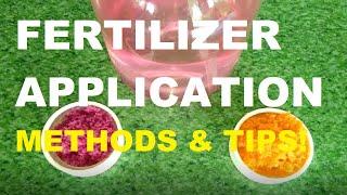 FERTILIZER APPLICATION | GARDENING PHILIPPINES