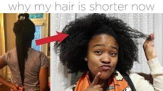 THE TRUTH ABOUT WHY MY NATURAL HAIR IS SHORTER