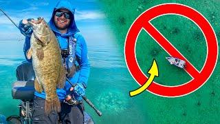 The UGLY Truth about Bed Fishing