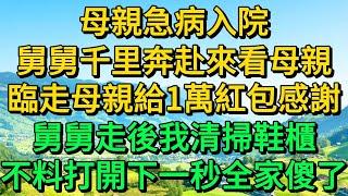 母親急病入院，舅舅千里奔赴來看母親，臨走時母親給1萬紅包感謝，舅舅走後我清掃鞋櫃，不料打開下一秒全家傻了 | 柳梦微语