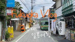 (Sub) [Fukuoka Vlog] 후쿠오카 2박3일 여행️ | 후쿠오카5월 | 후쿠오카맛집 | 후쿠오카날씨 | 하카타ㆍ다자이후ㆍ우미노나카미치ㆍ완간시장ㆍ니쿠이치 | 6월후쿠오카