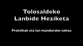 Tolosaldeko Lanbide Heziketa: praktikak eta lan mundurako saltoa