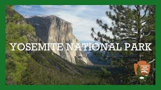 YOSEMITE NATIONAL PARK-quick look!