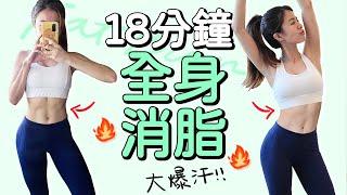 18 MIN WHOLE BODY FAT BURN TABATA｜18分鐘全身消脂 有效瘦身 間歇運動【Bellysu減肥中】