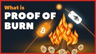 What is Proof of Burn in Crypto? | Animation