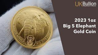 2023 1oz Big 5 Elephant Gold Coin  