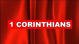 1 Corinthians (The Book of 1 Corinthians Visual Bible) WEB | Bible Movie