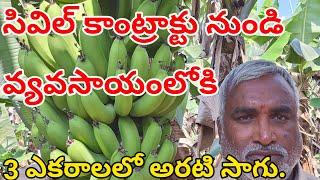 Banana Cultivation || Banana Farming in india || Indarapu Srinivasa Rao.