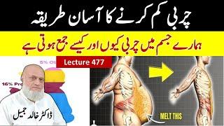 Fat Digestion and fat storage in body - 2024  | lecture 477