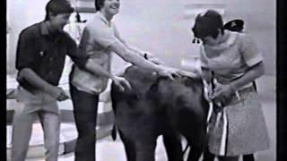 Blue Peter Highlights - Rocky & Hoppy + Lulu / John Noakes - a Legend!