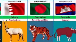 National Animals Of Different Countries