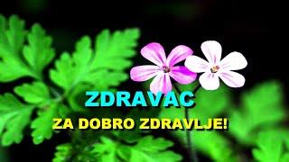 ZDRAVAC - Za DOBRO ZDRAVLJE!