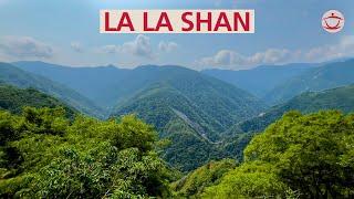 Tea and Nature in Taiwan: Appreciating Beauty in La La Shan