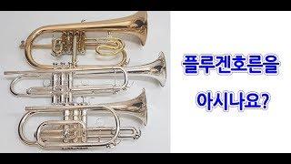 [중고악기세상] 플루겐호른(FlugenHorn)을 아시나요?