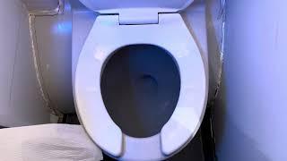 Delta Airlines A319 Flight 2174 Toilet