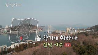 [풍경여지도] 봄 향기에 취하다 - 전남 여수 2부 / 연합뉴스TV (YonhapnewsTV)