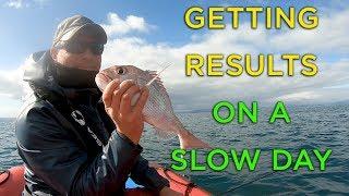 Catching fish when the bite is slow - Waiheke, Hauraki Gulf