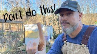 The BIGGEST WINTER BEEKEEPING MISTAKE!!!!