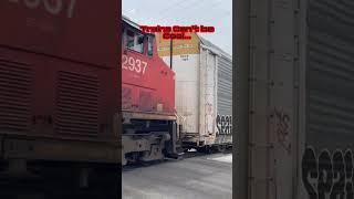 When people think trains are not cool #shortvideos #cntrain #railway #trainwatching