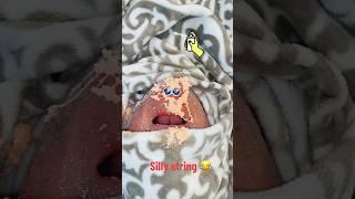 GRANDPA GETS SPRAYED IN THE FACE #youtubeshorts #funny