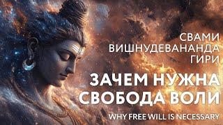 Сатсанг "Зачем нужна свобода воли", Свами Вишнудевананда Гири