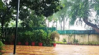 Raipur Rains l Monsoon l