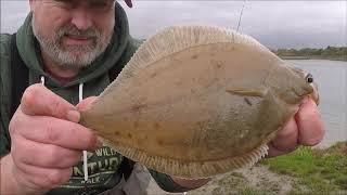 Shore Fishing Essex; Canewdon.