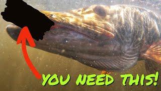 TOP 3 MUSKY FISHING ACCESSORIES! Catch more fish 100%