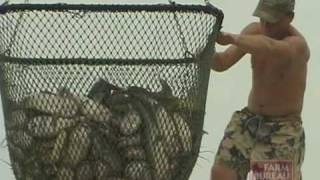 Arkansas Farm Bureau - Catfish Farming Challenges