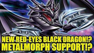 New Red-Eyes Black Dragon Card!!! Metalmorph Support Yu-Gi-Oh!