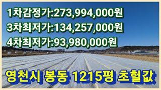 영천시 봉동 1215평 법원경매 진행중인 초헐값으로 득템 할수있는 영천땅