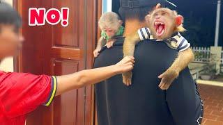 It seemed like PiPi the monkey had returned home with Mom and Dad?