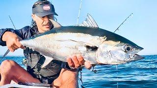 Do This Next Time You Catch A Tuna - Catch & Cook