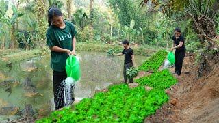 Pao's family's simple life: growing vegetables and raising fish