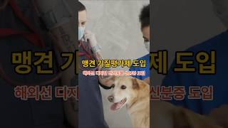 Companion Dog and Aggressive Dog Temperament Evaluation System