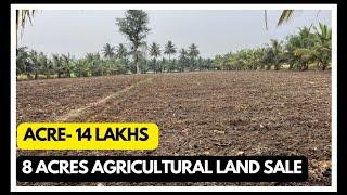 8 Acre Agricultural Land for Sale in Telangana | Fertile Land with Borewell & Road Access | ₹14L/Acr