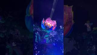 Opening flower Mainstage #tomorrowland #2024  #edm