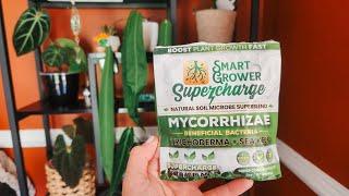 Let's Chat About Mycorrhizae. My Myco Recommendation. Plant Inoculant. My Pronunciation Is Terrible!