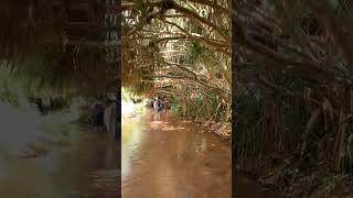 Did YOU know this was in Vietnam? Mui Ne Fairy Stream