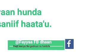 Fayyaa FB dhaan tube