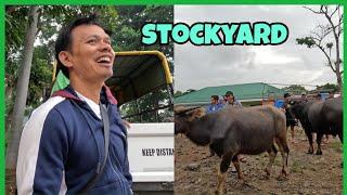 STOCKYARD DAY! PAPUNTA NAMANG STOCKYARD ANG GRUPO