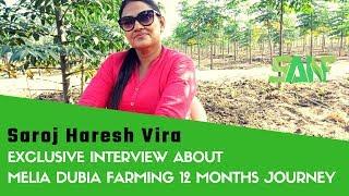 Gujarat Melia Dubia Farmer 'Saroj Haresh Vira' Speaks Out: An Exclusive Interview with SANF