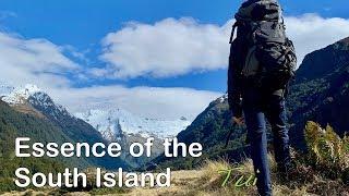 Essence of South Island Tui Tour - Active Adventures New Zealand