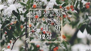 [생명샘교회] 2024년 11월 19일 새벽예배