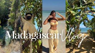 Travel vlog | I spent 2 weeks in Madagascar | hikes + beaches + lemurs & more! Allyiahsface vlog