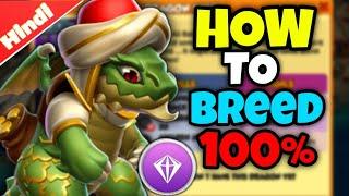 How To Breed Ali Baba Dragon? Top Best Breeding Combinations | Dragon Mania Legends Hindi