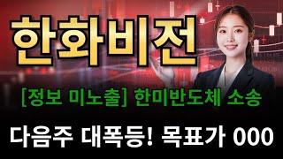 한화비전  [정보 미노출] 한미반도체 소송!다음주 대폭등! 목표가 00!!