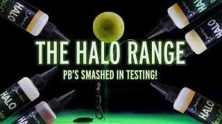 The Halo Range | The Ultimate Carp Attractor | Carp Fishing Liquids | Hook Bait Enhancer