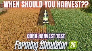 CORN SILAGE HARVEST TEST - Farming Simulator 25