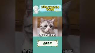 77岁老人为46岁儿子寻求真相 #广西宁明 #社会百态